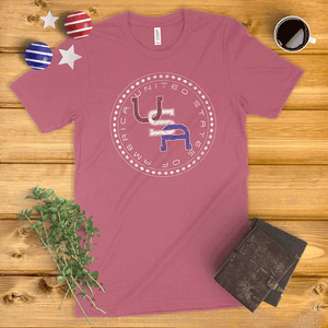 USA 50 Stars Ladies' T-Shirt