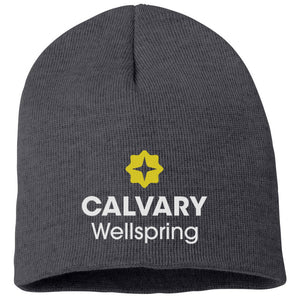 Calvary Wellspring Beanie