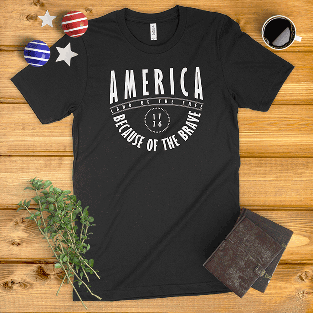 America Land of the Free, Because of the Brave Ladies' T-Shirt