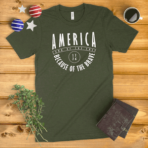America Land of the Free, Because of the Brave Ladies' T-Shirt