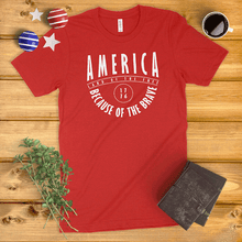 Load image into Gallery viewer, America Land of the Free, Because of the Brave Ladies&#39; T-Shirt
